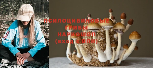 соль курить ск Верхний Тагил