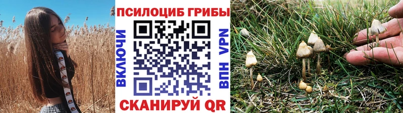 Купить  Кузнецк  Галлюциногенные грибы GOLDEN TEACHER 